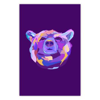 Poster Colorful Bear - abstract animal head on a purple background