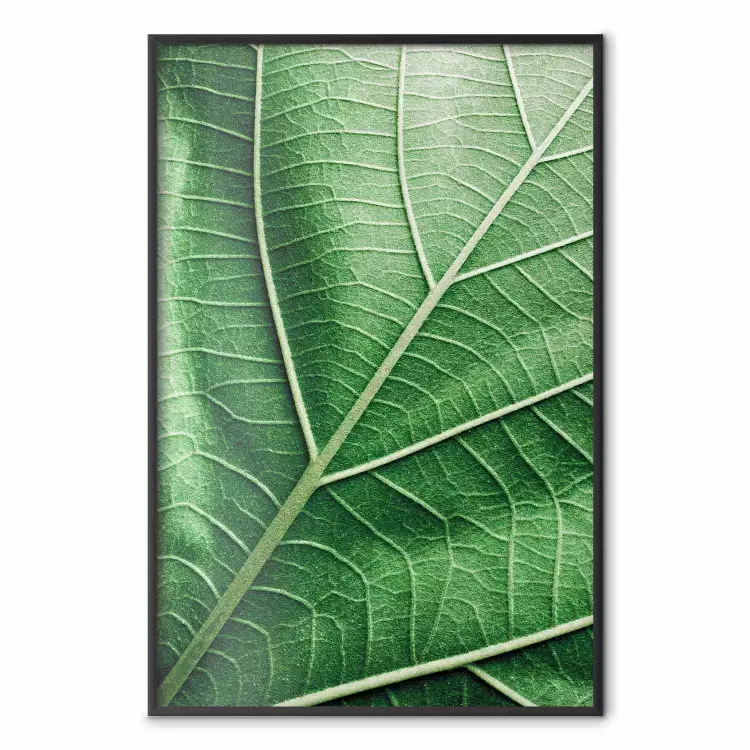 Malachite Leaf - green leaf with precise texture in close-up