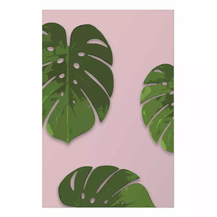 Poster Fragment of Exoticism - tropical green monstera leaves on a pink background