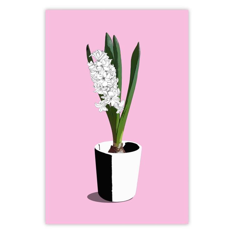 Floral Delicacy - plant in a pot on a pink pastel background