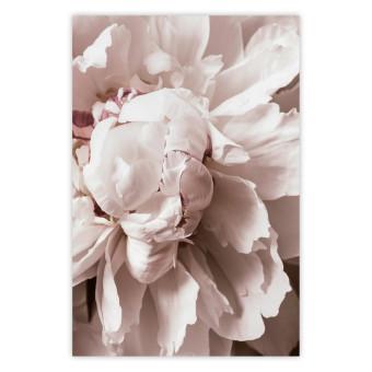 Poster Rhythmic Delicacy - light pink flowers in a natural composition