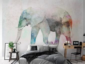 Wall Mural African animals - elephant on a solid textured background with coloured accent