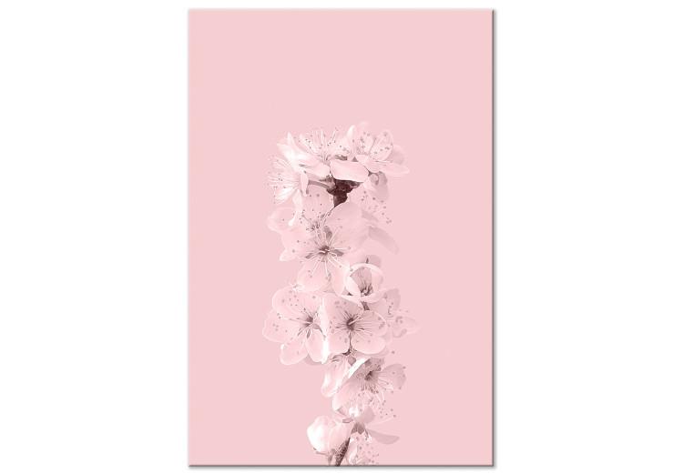 Spring branch full of apple blossoms - pink plant composition
