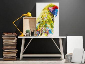 Paint by Number Kit Tropical Parrot