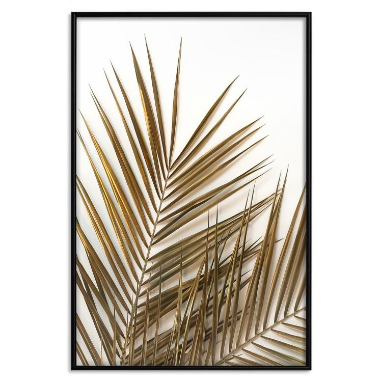Poster Coconut Palm [Poster]