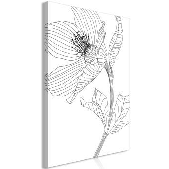 Canvas Sketched flower - black and white plant contours in line art style