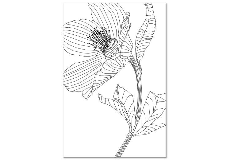 Canvas Print Sketched flower - black and white plant contours in line art style