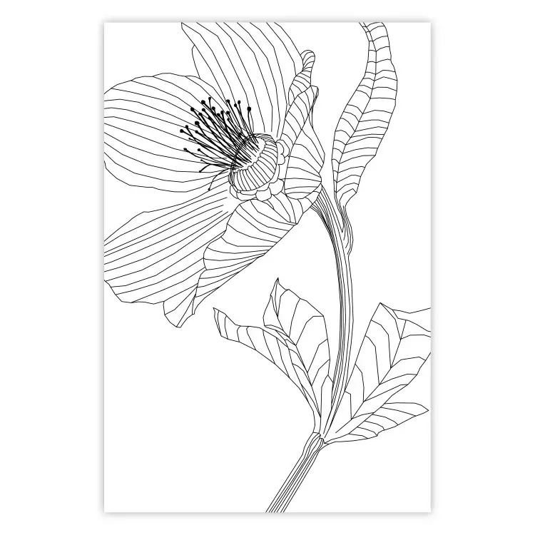 Spring Sketch - abstract black line art of plant on white background