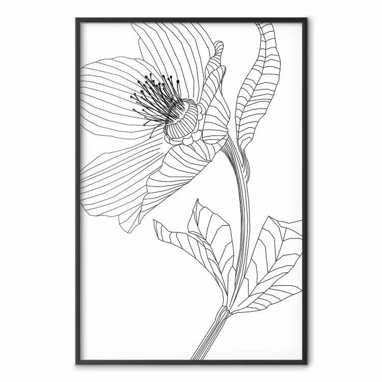 Spring Sketch - abstract black line art of plant on white background