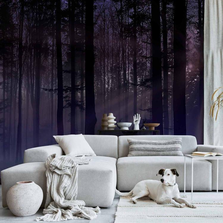 Wall Mural Mystical Forest - Second Variant