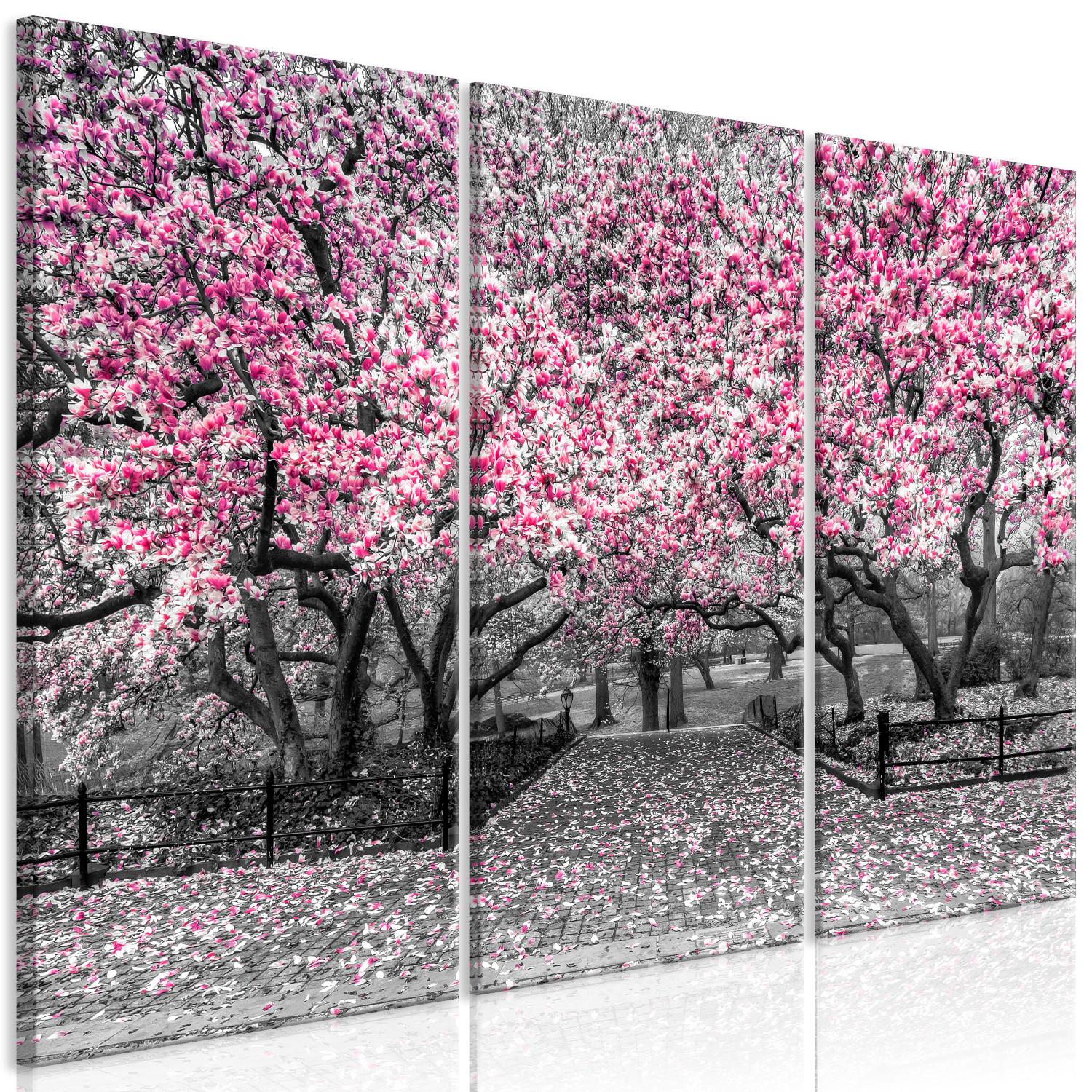 Canvas Blooming Magnolias - triptych with magnolia trees and pink flowers