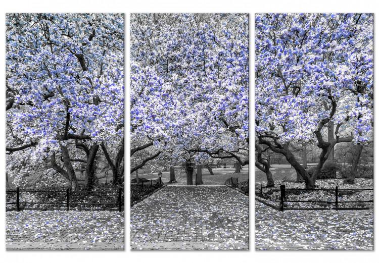 Canvas Print Blooming Magnolias - triptych with magnolia trees and violet flowers