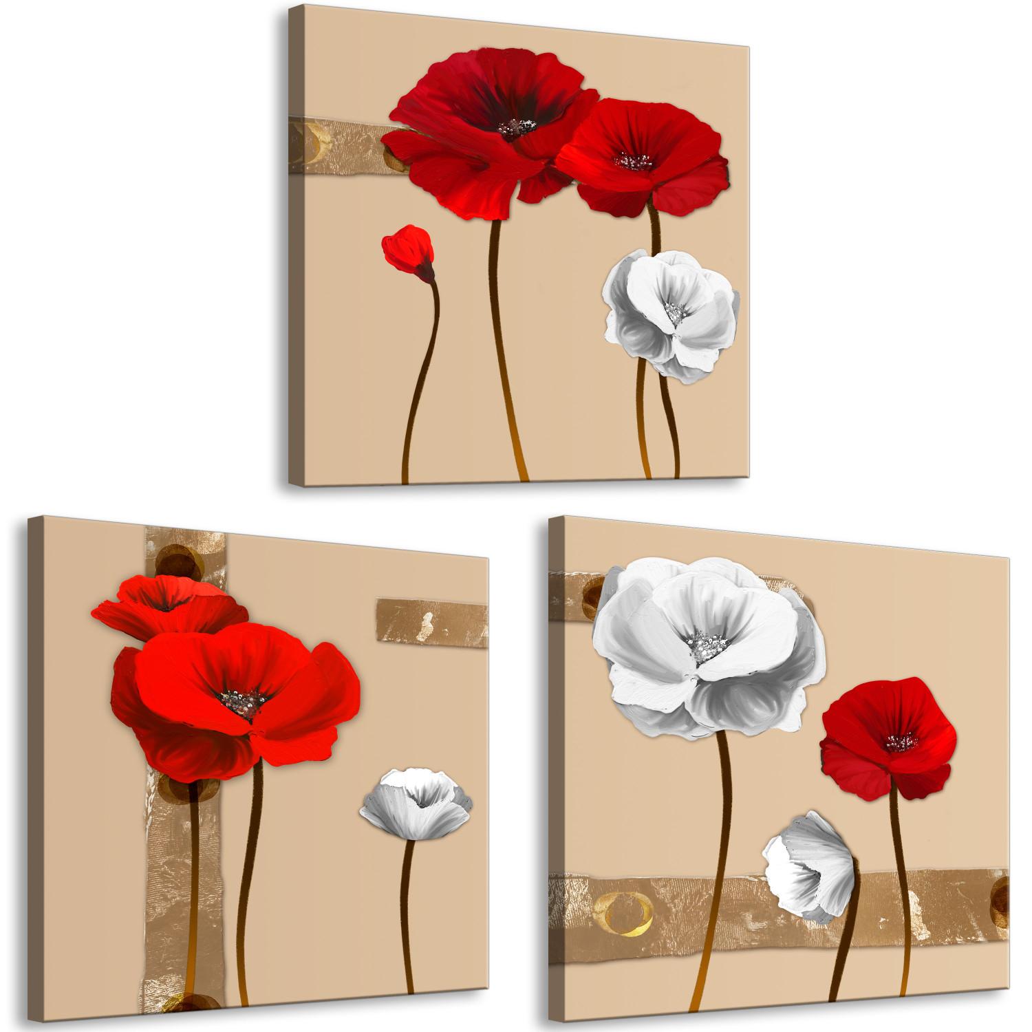 Canvas White and red poppies - triptych with flowers on a brown background