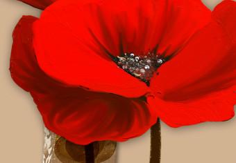Canvas White and red poppies - triptych with flowers on a brown background