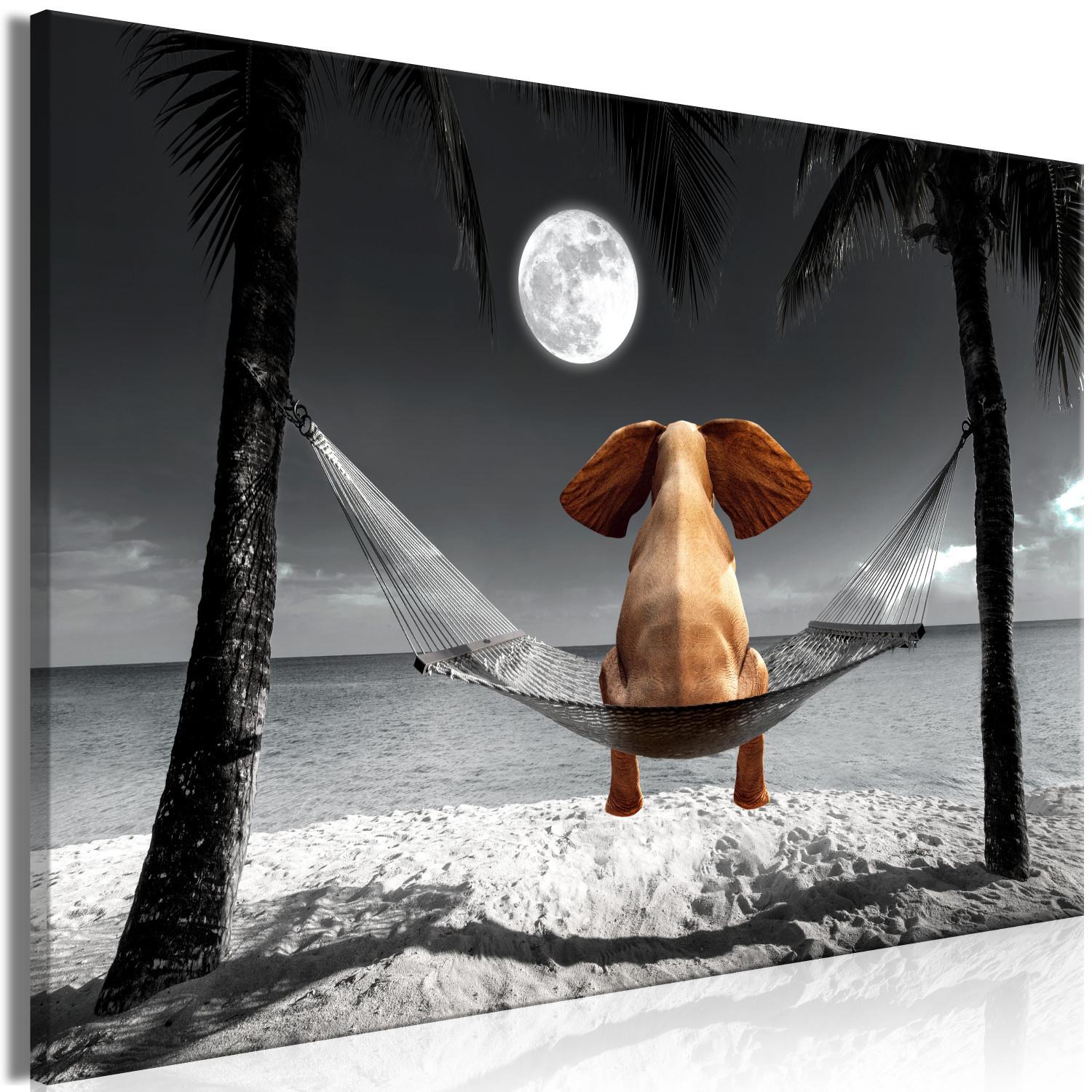 Canvas Elephant on a Hammock (1-part) wide - fantasy animal on a beach