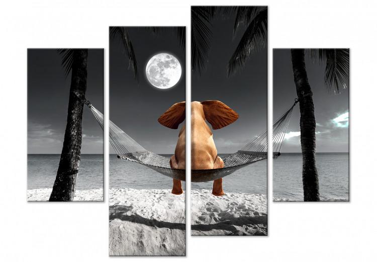 Canvas Print Elephant on a hammock looking at the moon - 4 parts elephant abstract