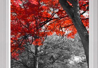 Large Canvas Red Maple [Large Format]