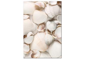 Canvas Marine Collection (1-part) vertical - landscape of various sea shells