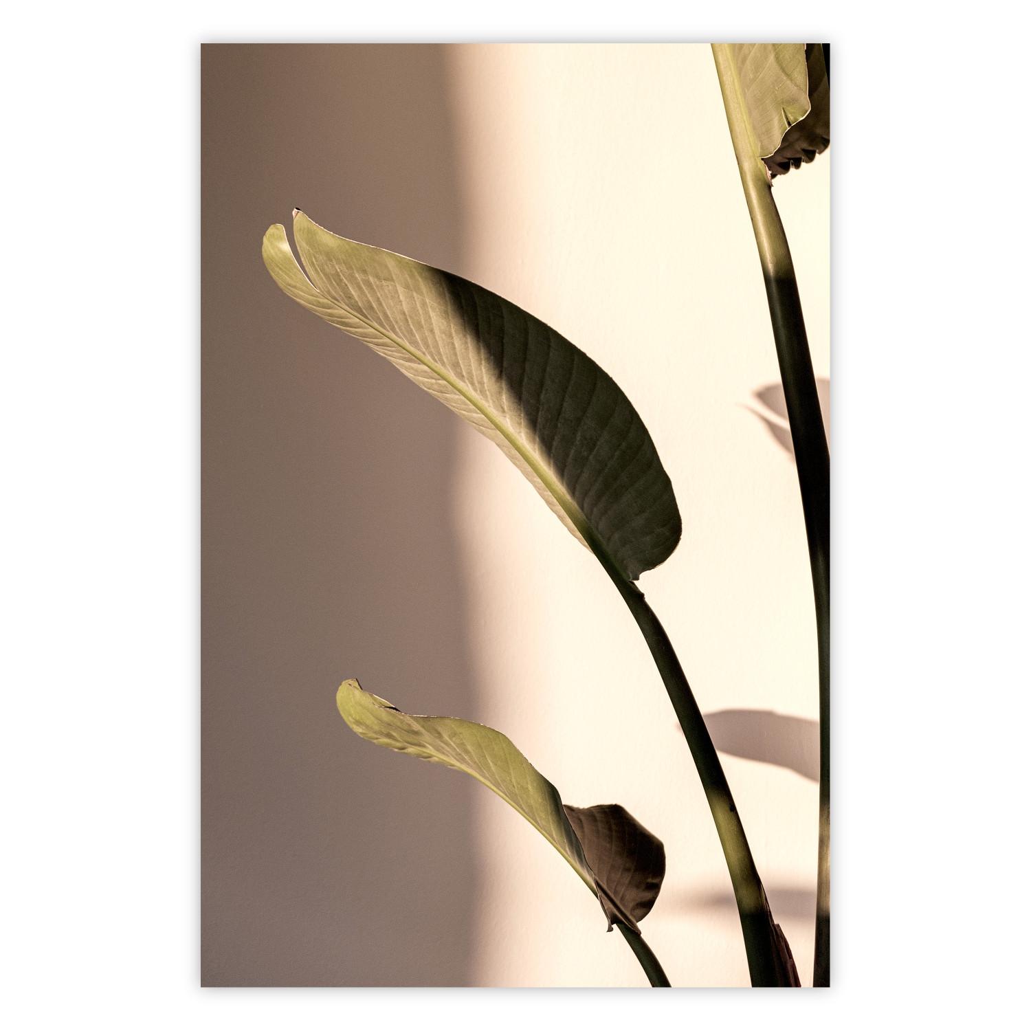 Poster Sunny Rhythm - composition with green plant leaves on a light background