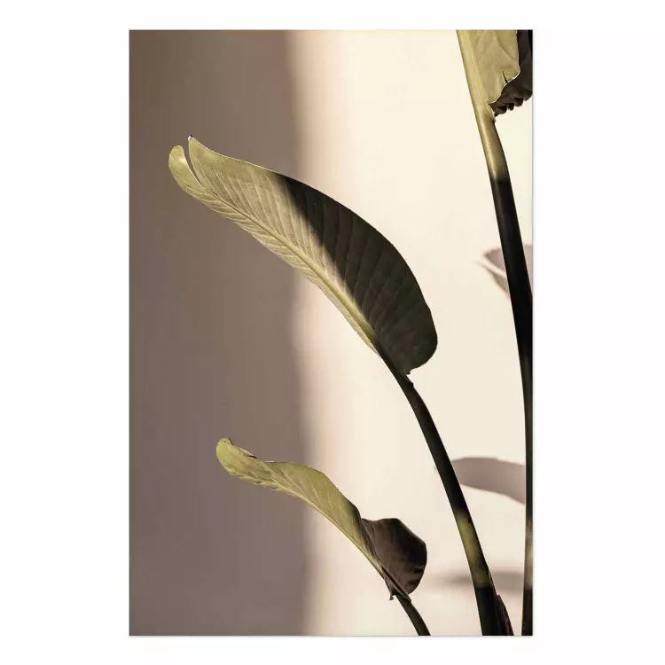 Poster Sunny Rhythm - composition with green plant leaves on a light background