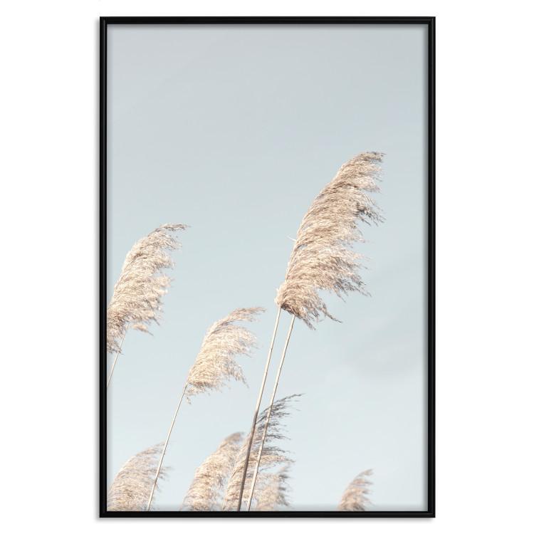 Poster Feathery Fleetingness [Poster]