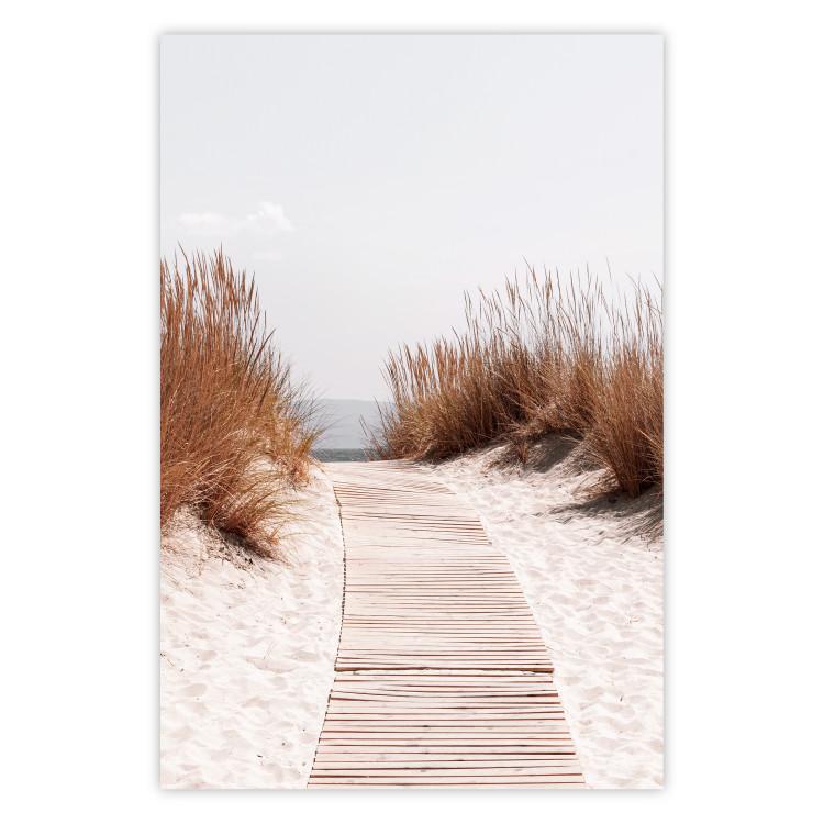 Soft Rustle - seascape of sandy beach against a bright sky