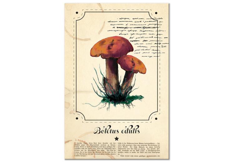 Canvas Print Mushroom Guide Book (1 Part) Vertical