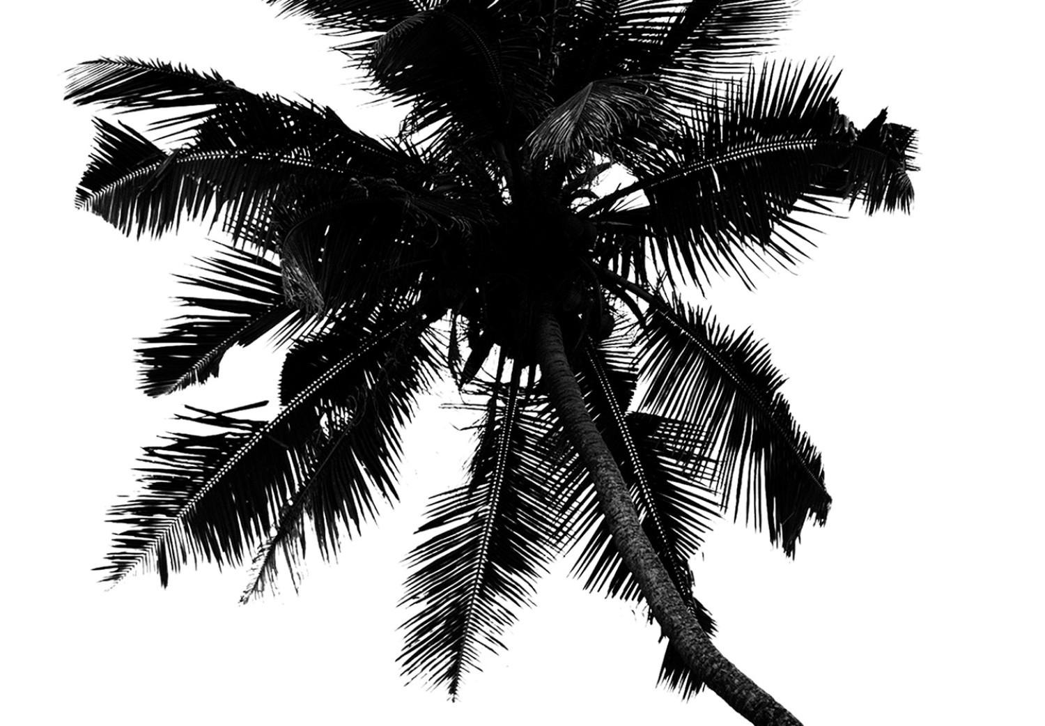 Canvas Lonely Palms (1-piece) Vertical - black trees on white background
