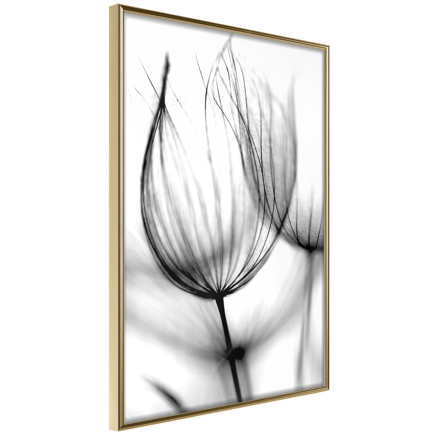 Gallery wall Dandelion in the Wind - black dandelion flower on a contrasting background