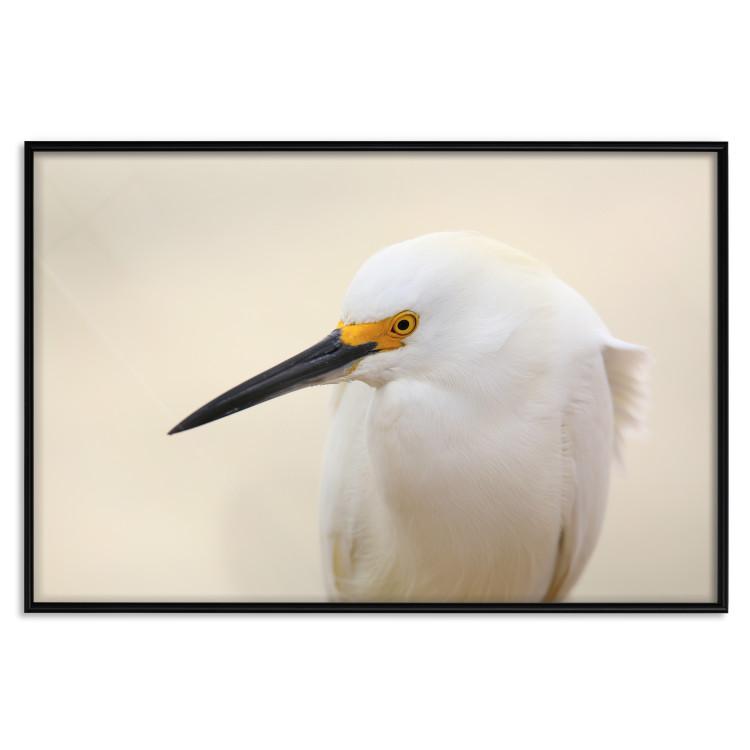 Poster Snowy Egret [Poster]