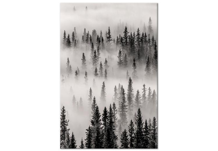 Nesting Ground (1-piece) Vertical - landscape of misty dark forest