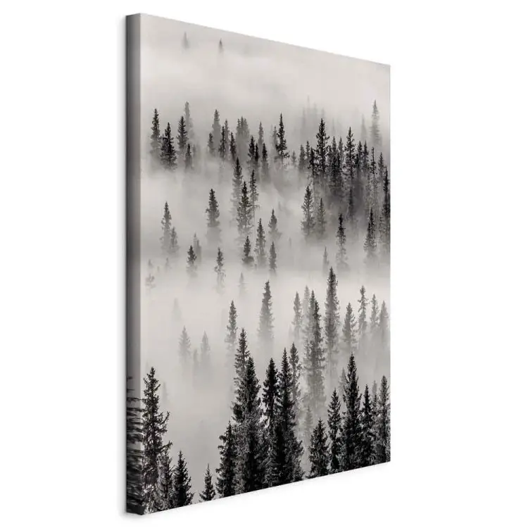 Nesting Ground Vertical - landscape of misty dark forest