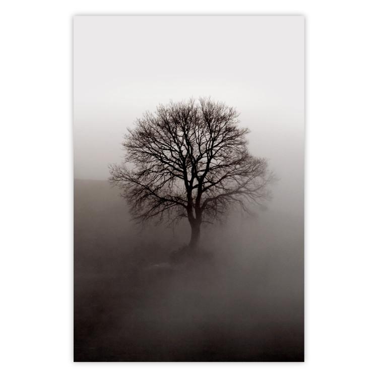 Power Dormant in a Tree - landscape of a leafless tree in thick fog