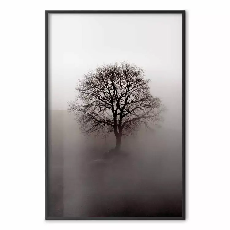 Power Dormant in a Tree - landscape of a leafless tree in thick fog
