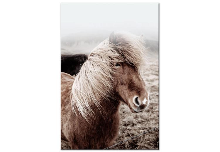 Against the Wind (1-piece) Vertical - horse in a portrait photograph