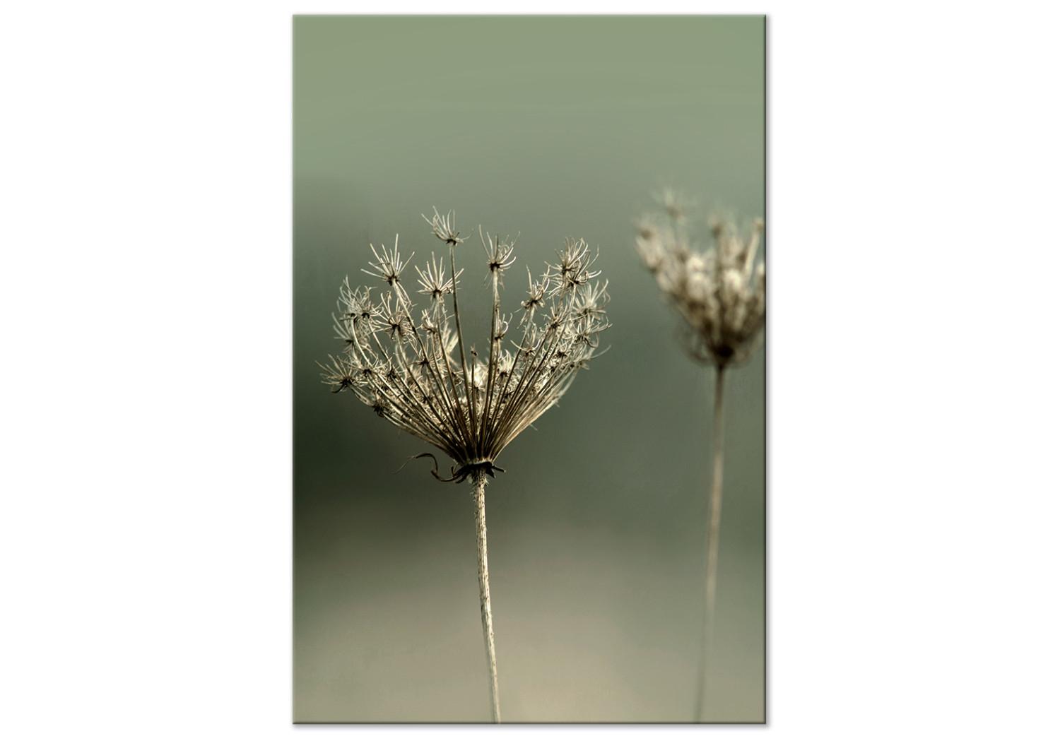 Canvas Longing for Past Summer (1-piece) Vertical - photograph of flowers
