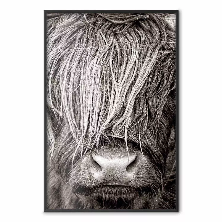 Face to Face with Nature - black and white portrait of an animal with hair