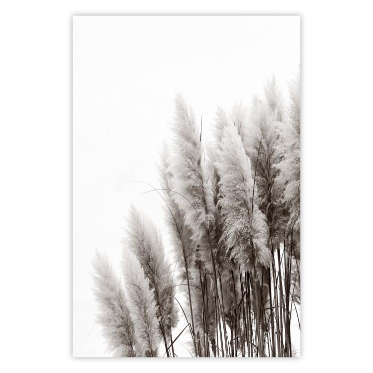 Waiting for the Wind - monochromatic landscape of plants on a white background