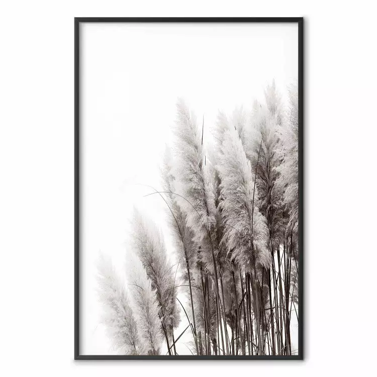 Waiting for the Wind - monochromatic landscape of plants on a white background