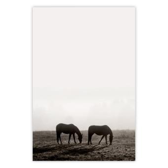 Poster Morning Respite - landscape of horses in a field against bright sky