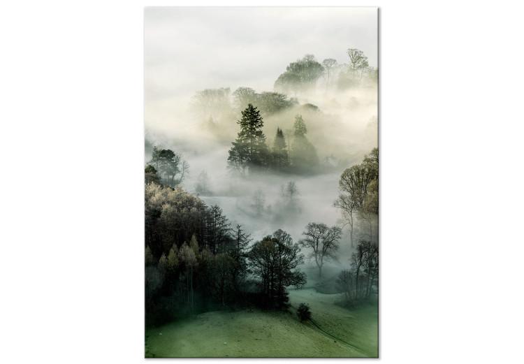 Morning Chill (1-piece) Vertical - landscape of misty forest scenery