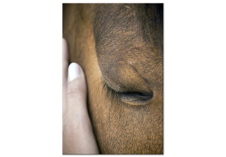Soothing Touch (1-piece) Vertical - hand stroking a brown horse