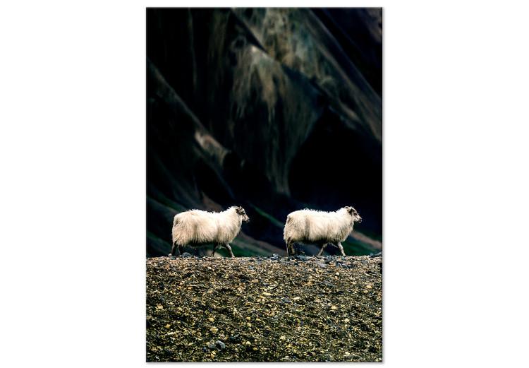 Follow Me! (1-piece) Vertical - photograph of two white animals