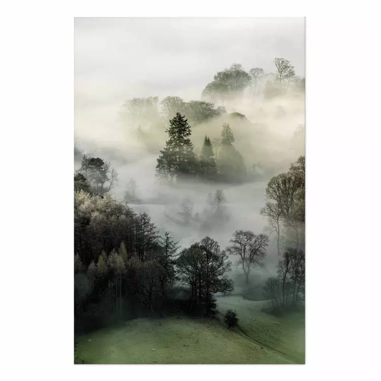 Morning Chill - landscape of trees surrounded by dense fog against the sky