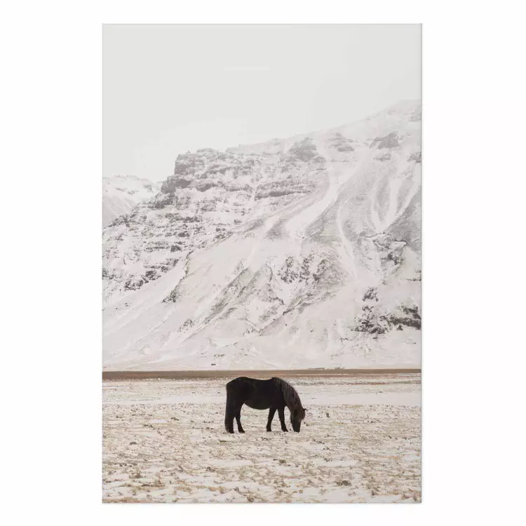 Poster Solitude in the Valley - landscape of a black animal against a mountain backdrop