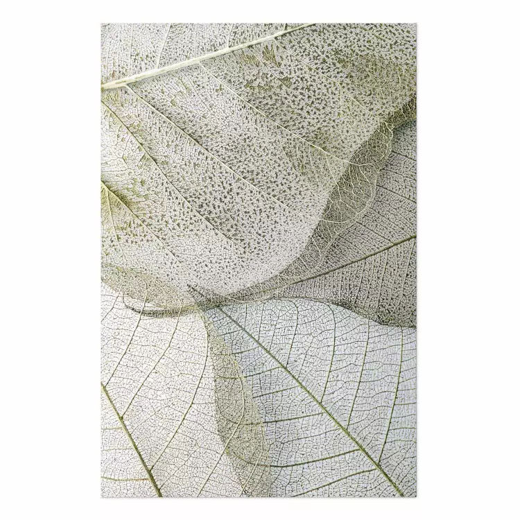 Poster Foliage Configuration - leafy composition with distinct texture