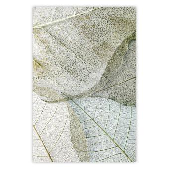 Poster Foliage Configuration - leafy composition with distinct texture