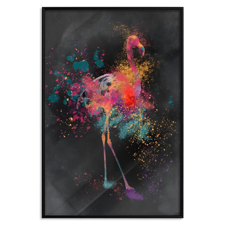 Poster Flamingo Colour [Poster]