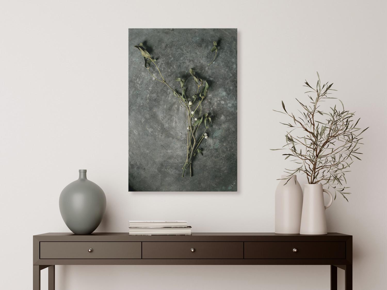Canvas Dried mistletoe - a winter botanical photograph on a grey stone