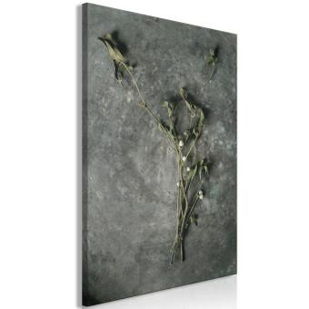 Canvas Dried mistletoe - a winter botanical photograph on a grey stone
